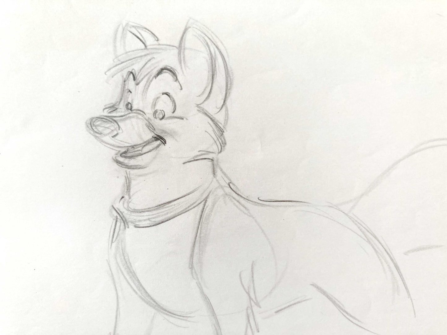 THE FOX AND THE HOUND : Original Animation Drawing (Walt Disney, 1981)