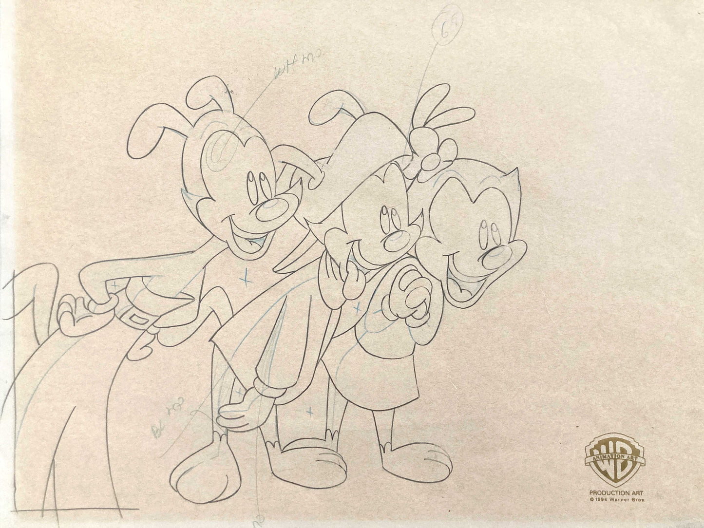 ANIMANIACS : Original animation drawing (1993)